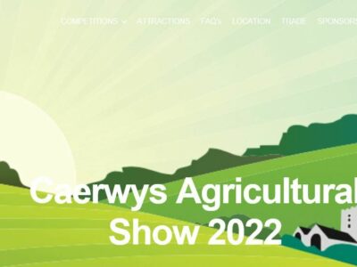 11th June Caerwys Show